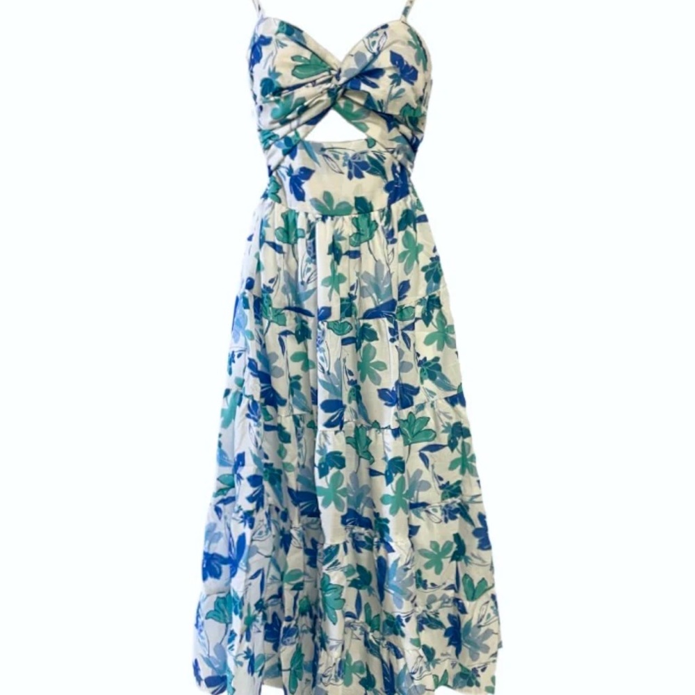 Petal & Pup maxi dress